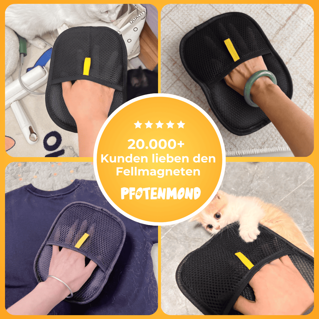Fellmagnet - Der Bestseller