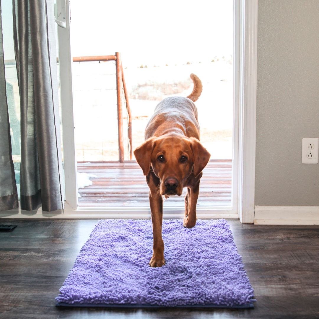 Premium - CleanyMat