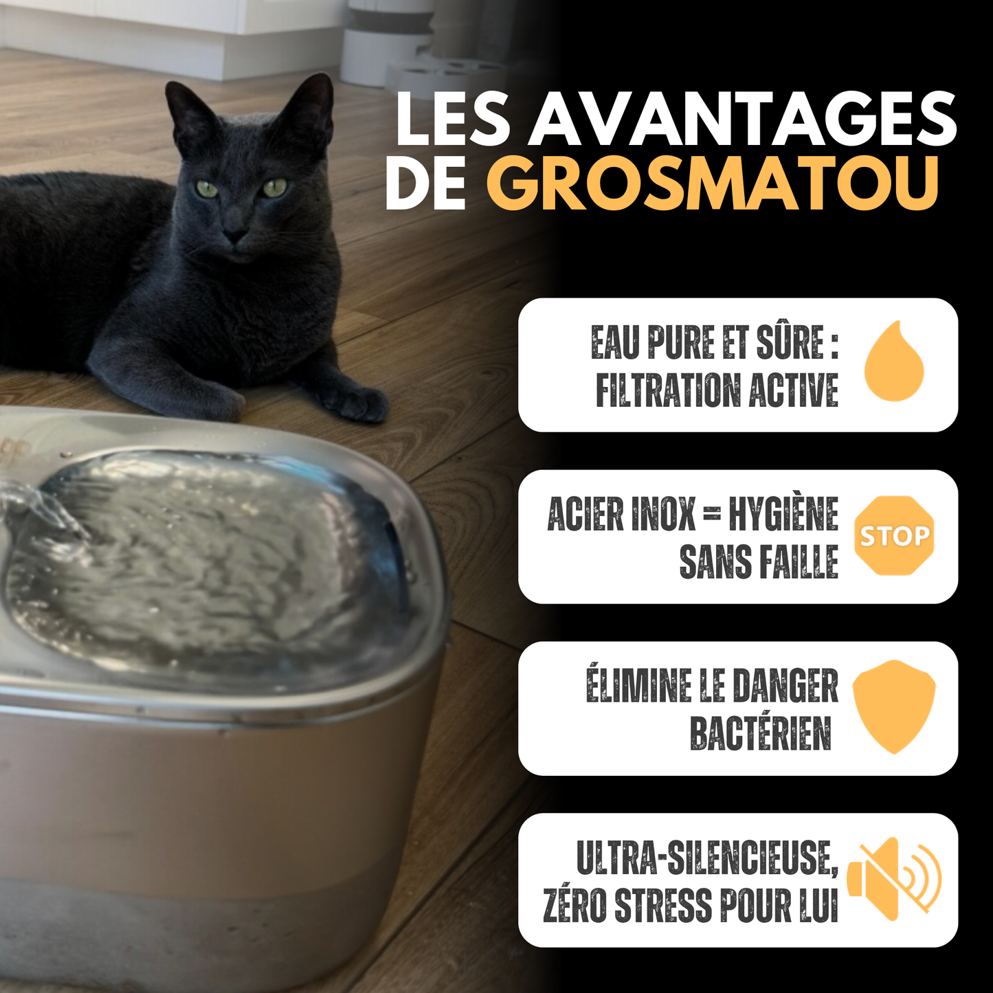 Fontaine Sans Fil: La Solution Vétérinaire Anti-Déshydratation en Inox !