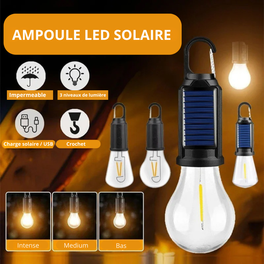 HookPro Ampoule solaire à Led