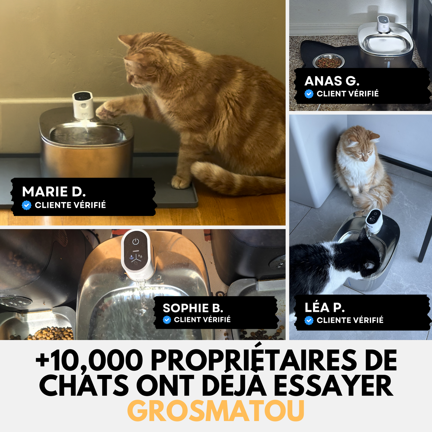 Fontaine Sans Fil: La Solution Vétérinaire Anti-Déshydratation en Inox !