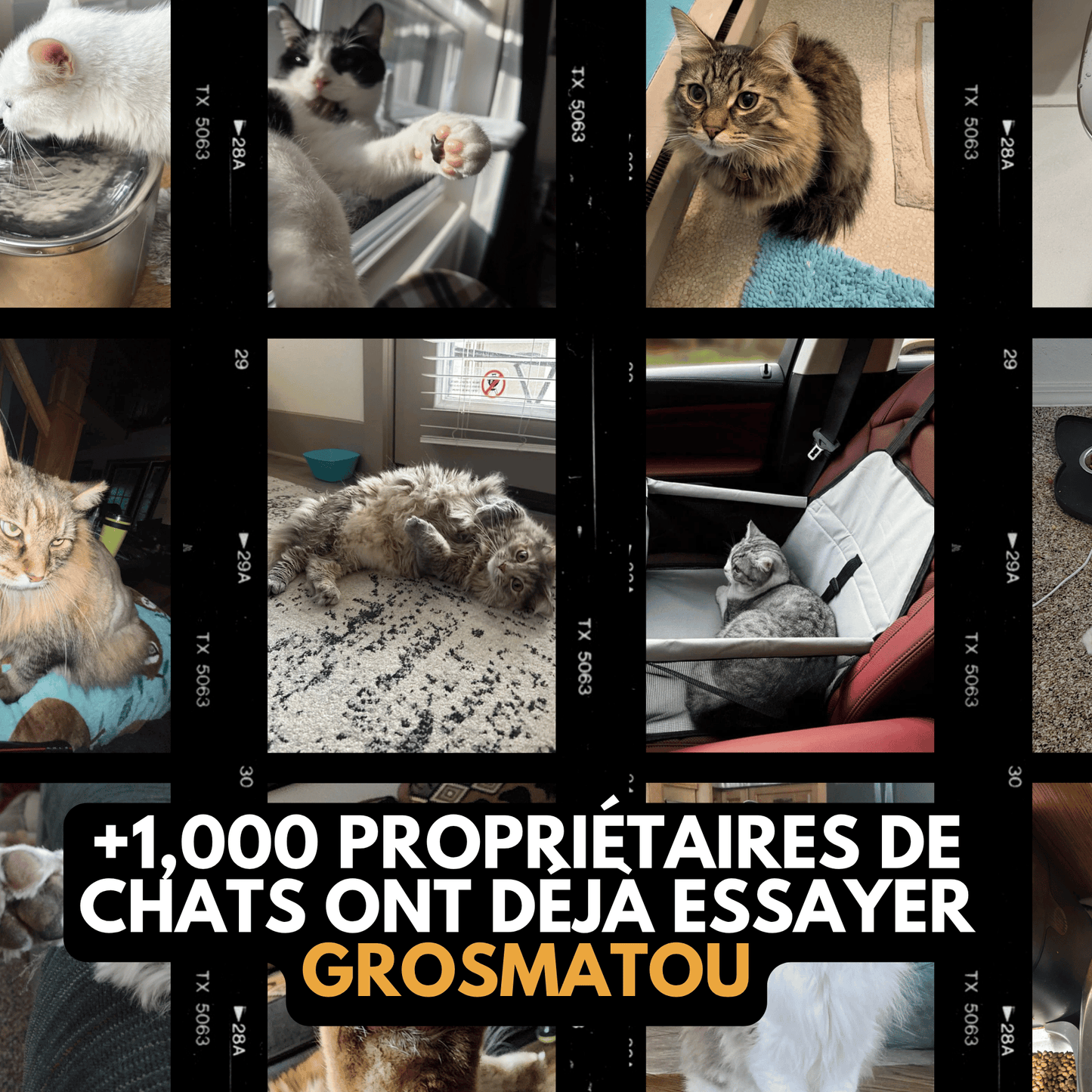 Le Siège Confort GrosMatou — Voyagez en toute sécurité et sans stress