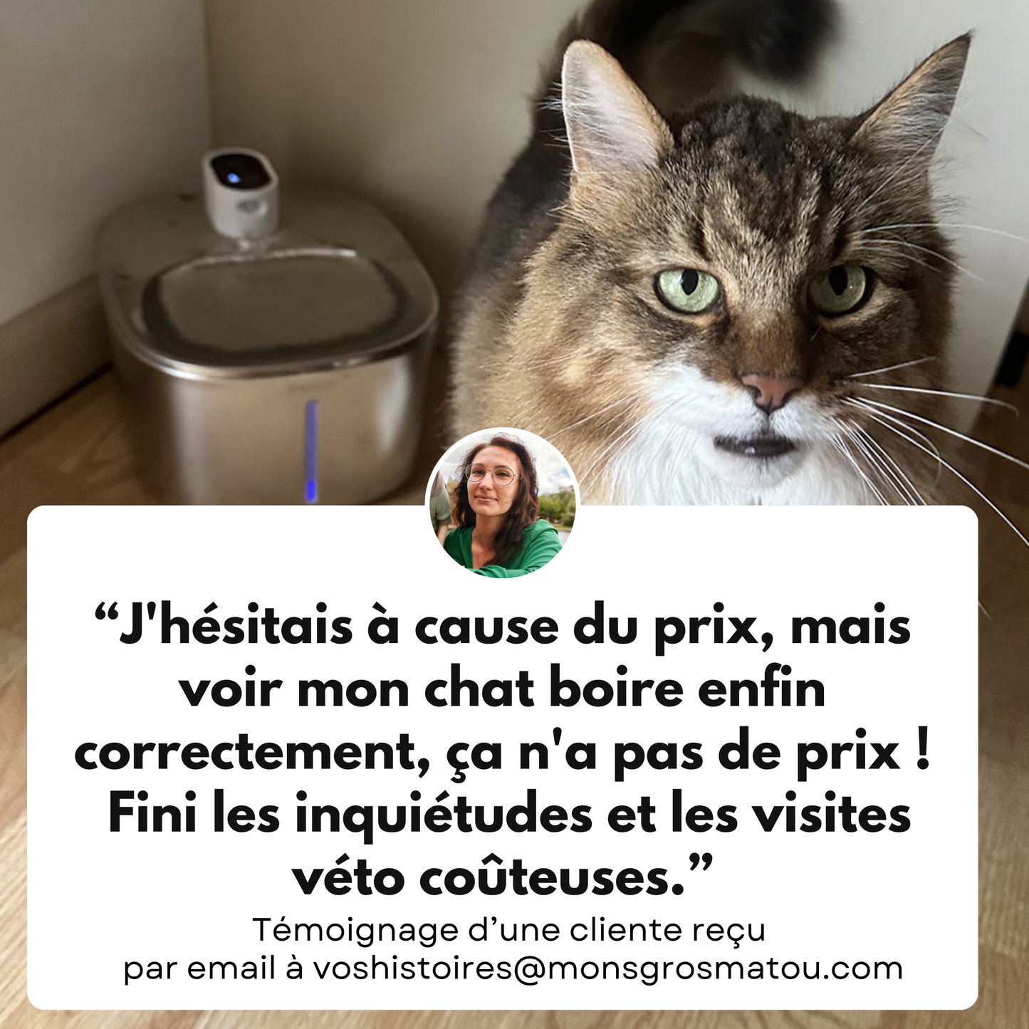 Fontaine Sans Fil: La Solution Vétérinaire Anti-Déshydratation en Inox !