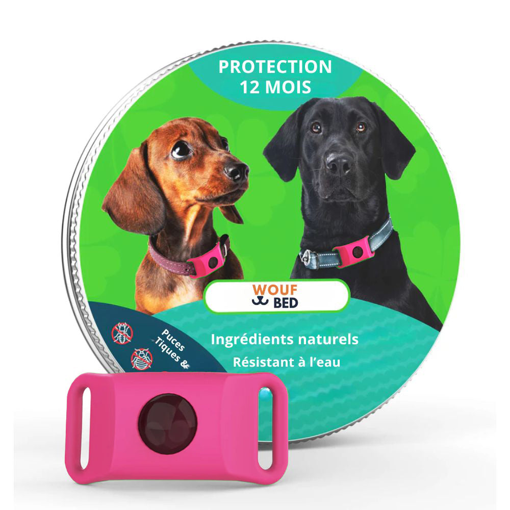 Pendentif anti puces et anti tiques | Dogsafe+