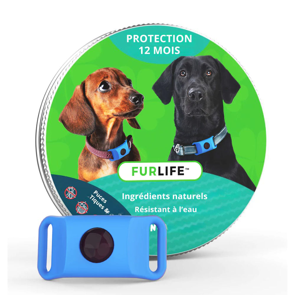 Pendentif anti puces et anti tiques | Dogsafe+