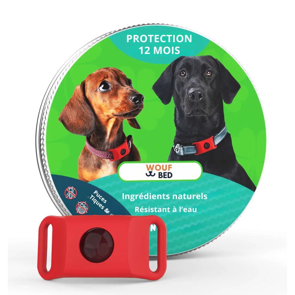Pendentif anti puces et anti tiques | Dogsafe+