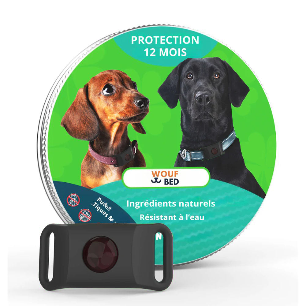 Pendentif anti puces et anti tiques | Dogsafe+