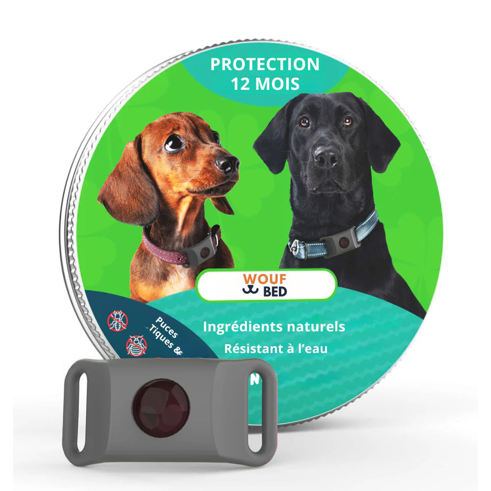 Pendentif anti puces et anti tiques | Dogsafe+