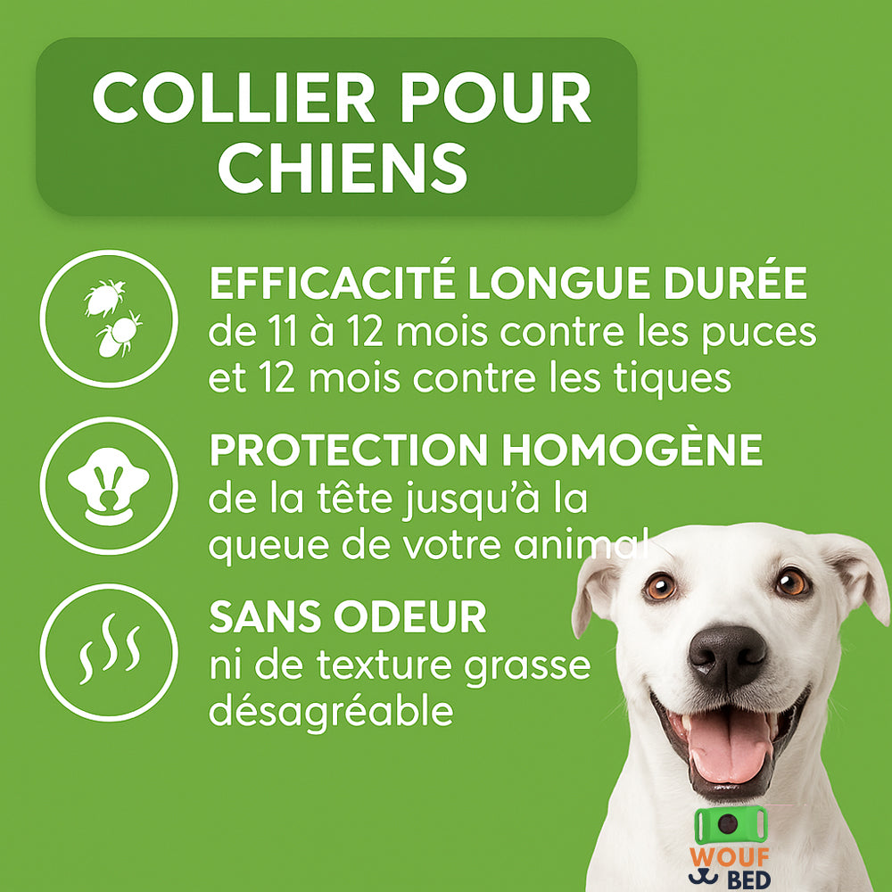 Pendentif anti puces et anti tiques | Dogsafe+