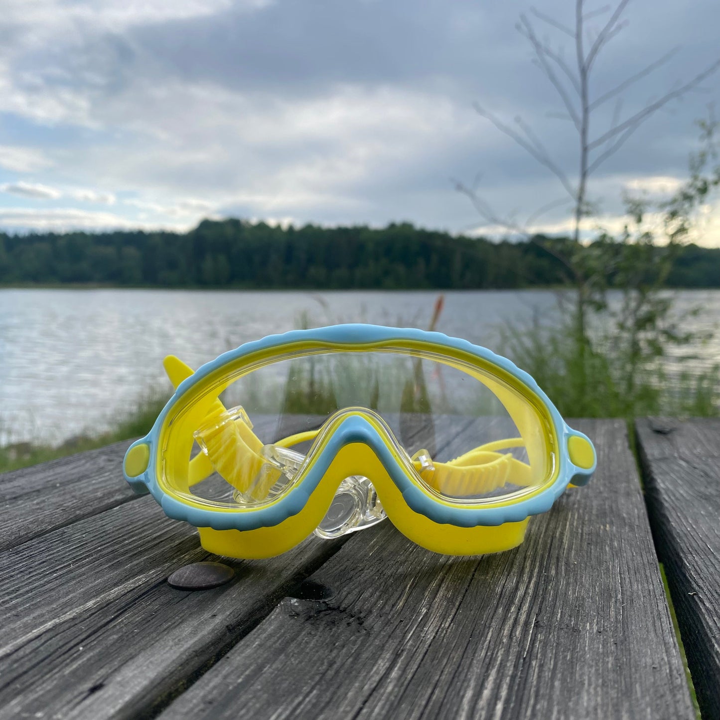 Lunettes de natation pour enfants avec conception intelligente