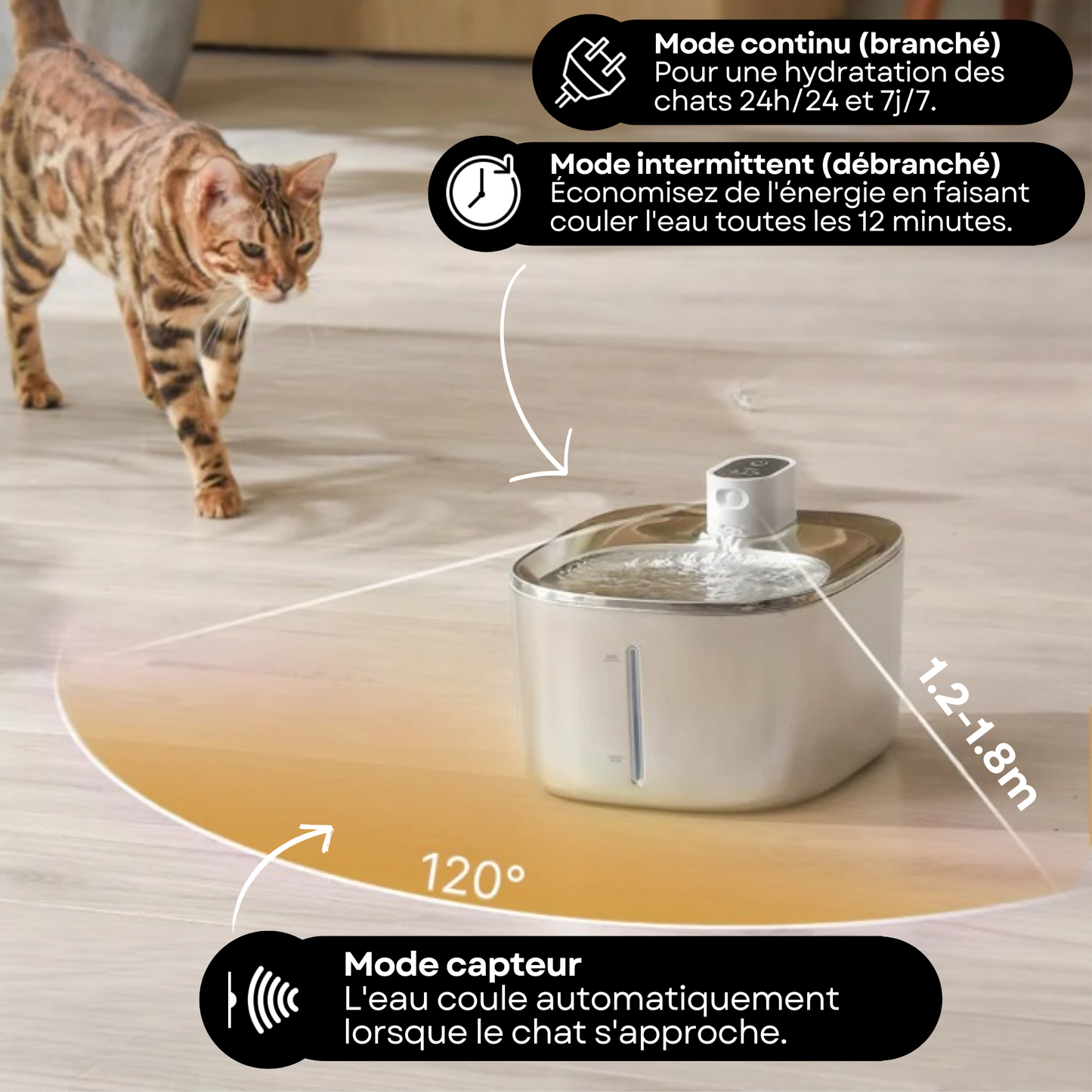 Fontaine Sans Fil: La Solution Vétérinaire Anti-Déshydratation en Inox !