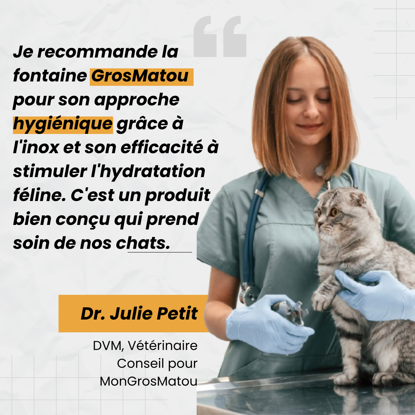Fontaine Sans Fil: La Solution Vétérinaire Anti-Déshydratation en Inox !