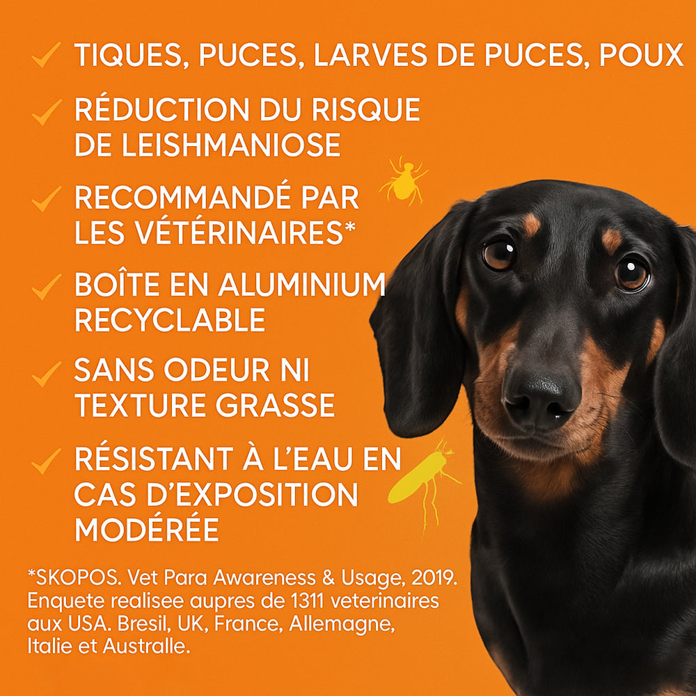 Pendentif anti puces et anti tiques | Dogsafe+