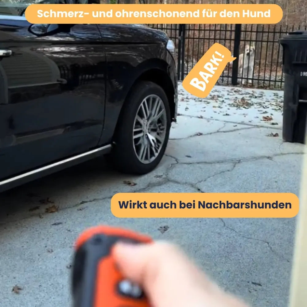 RuheMeister™ Pro - Schonendes Ultraschall-Training für ruhiges Zuhause