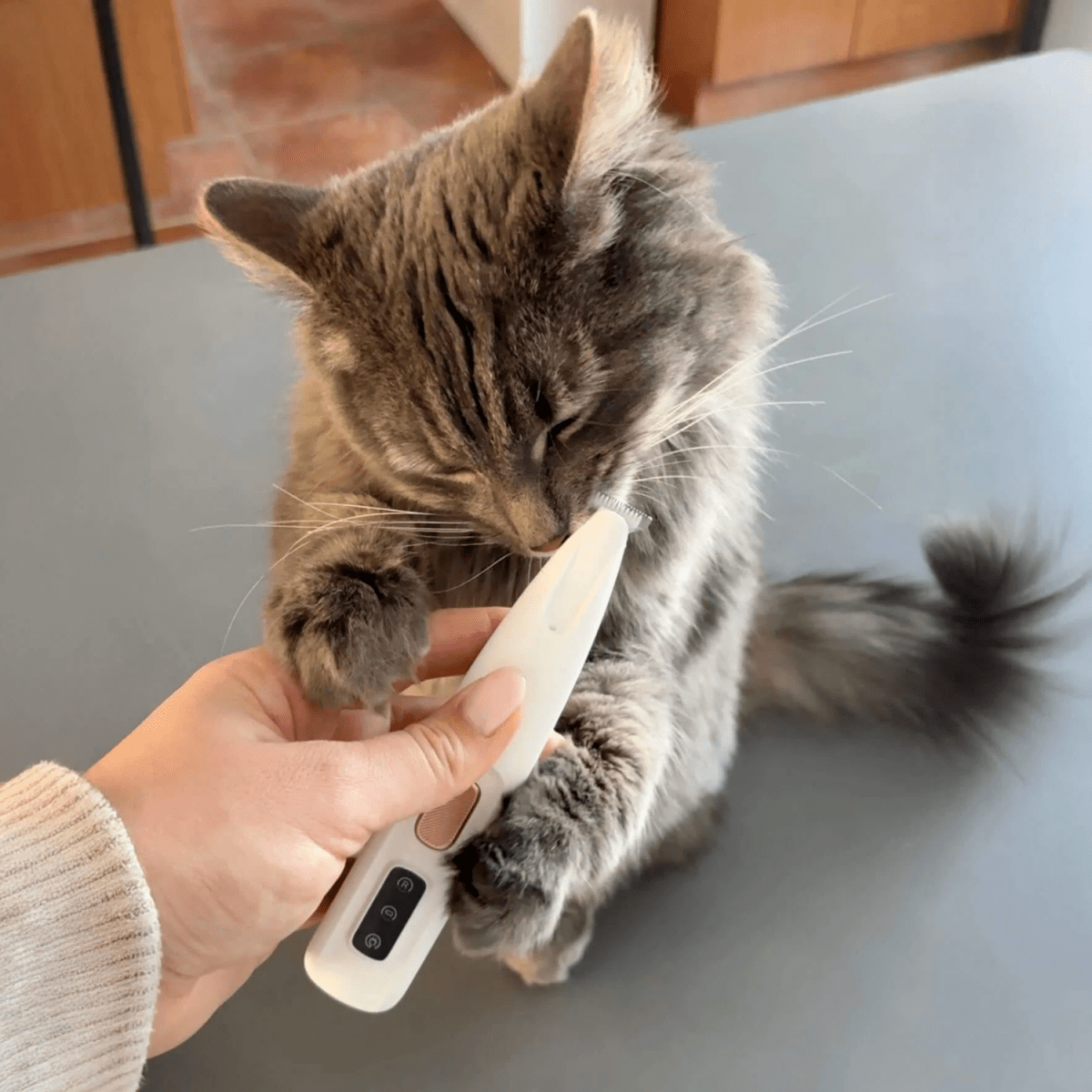 TrimFur™ tondeuse pour chats
