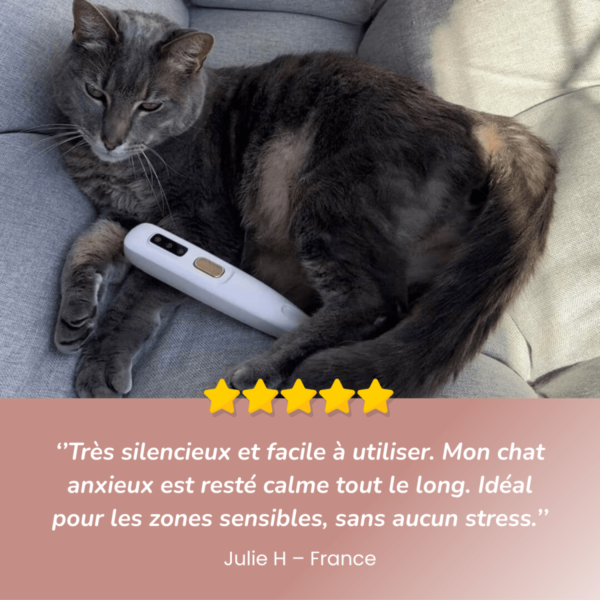 TrimFur™ tondeuse pour chats