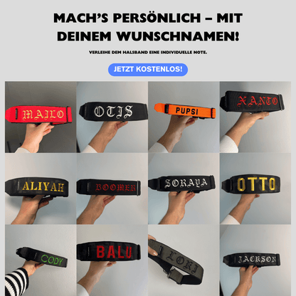 Alpha Hundehalsband® mit Griff - Orange