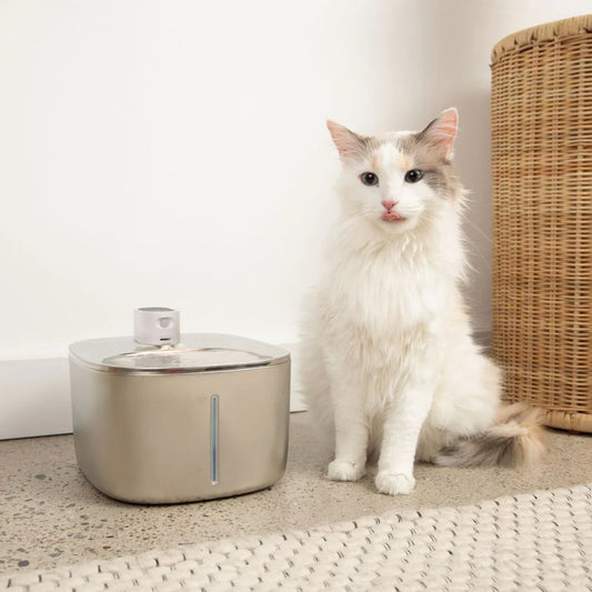 Fontaine Sans Fil: La Solution Vétérinaire Anti-Déshydratation en Inox !