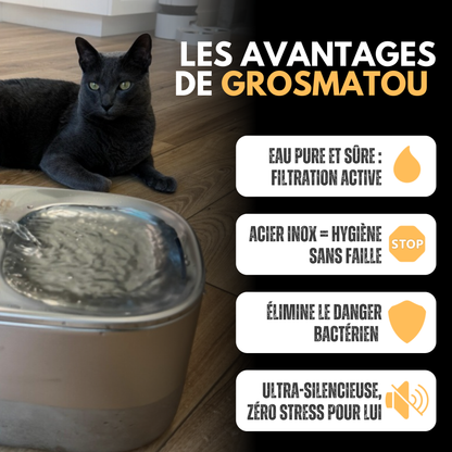 Fontaine Sans Fil: La Solution Vétérinaire Anti-Déshydratation en Inox !