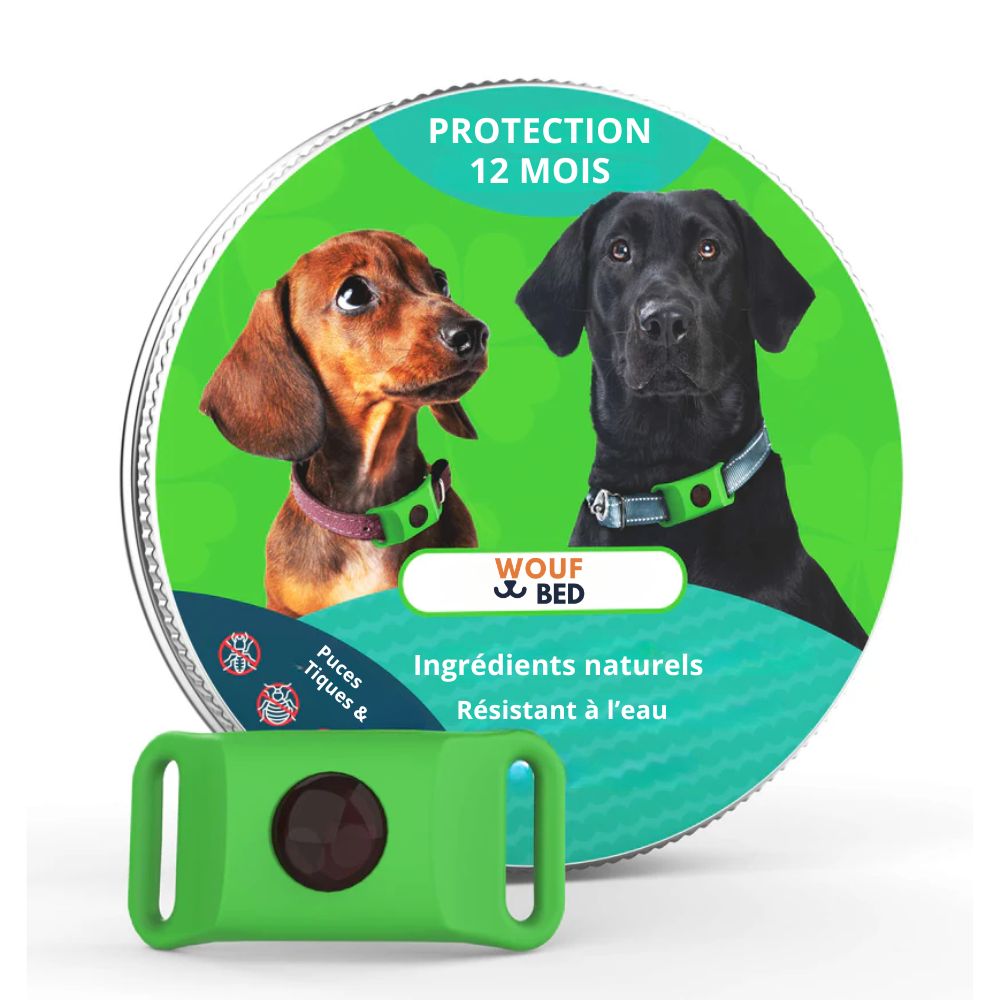 Pendentif anti puces et anti tiques | Dogsafe+