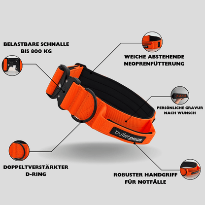 Alpha Hundehalsband® mit Griff - Orange