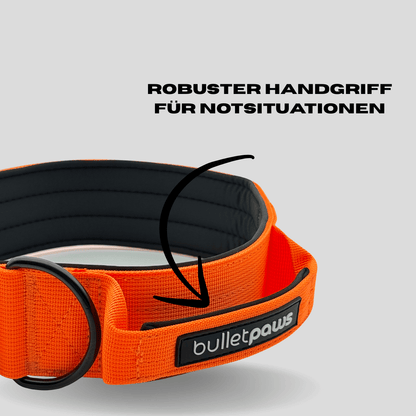 Alpha Hundehalsband® mit Griff - Orange